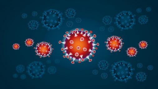 Al momento stai visualizzando Sospensione Attività fino al 3 Aprile