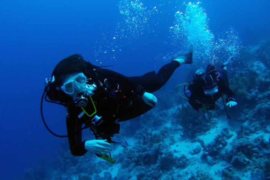 Al momento stai visualizzando Corsi subacquei con brevetto internazionale F.I.P.S.A.S.